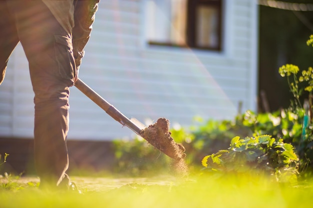 O agricultor cava o solo na horta Preparando o solo para plantar vegetais Conceito de jardinagem Trabalho agrícola na plantação