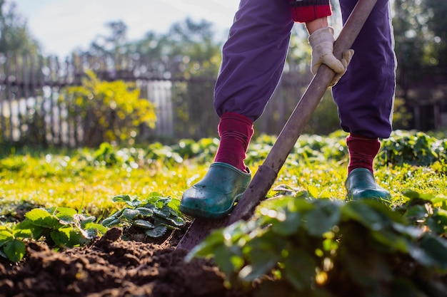 Foto o agricultor cava o solo na horta preparando o solo para plantar vegetais conceito de jardinagem trabalho agrícola na plantação