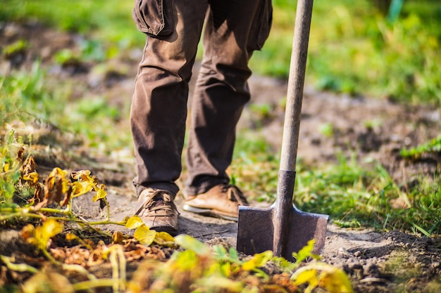 O agricultor fica com uma pá no jardim Preparando o solo para plantar vegetais Conceito de jardinagem Trabalho agrícola na plantação