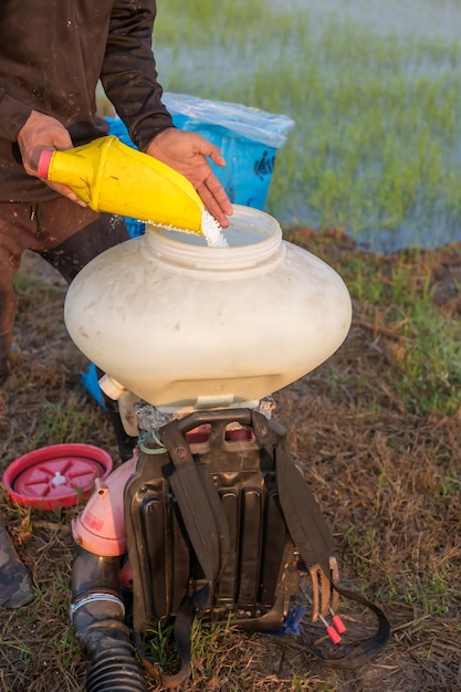 O agricultor pode usar o Knapsack Mist Duster para adicionar fertilizantes químicos à sua fazenda de arroz