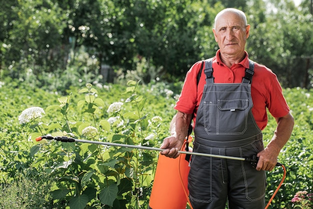 O agricultor pulveriza as inflorescências das plantas para protegê-las com produtos químicos de doenças fúngicas ou parasitas com um pulverizador manual em seu jardim. jardinagem e o conceito de gente.