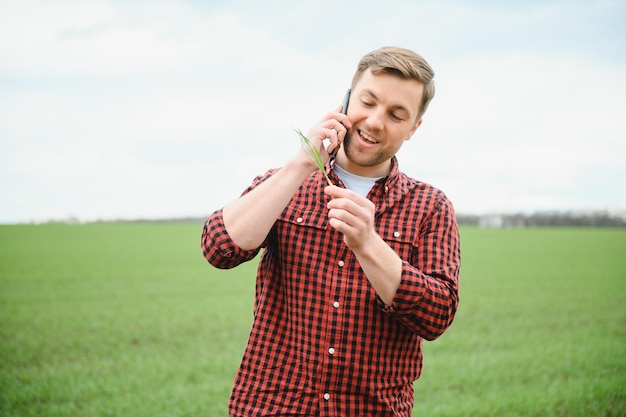 O agricultor segura uma colheita do solo e brotos de trigo verde jovem em suas mãos, verificando a qualidade da nova colheita análise agrônoma do progresso do novo crescimento da semeadura conceito de saúde agrícola