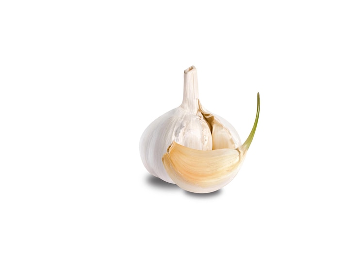 Foto o alho ou allium sativum é usado tanto como aromatizante alimentar quanto como remédio tradicional