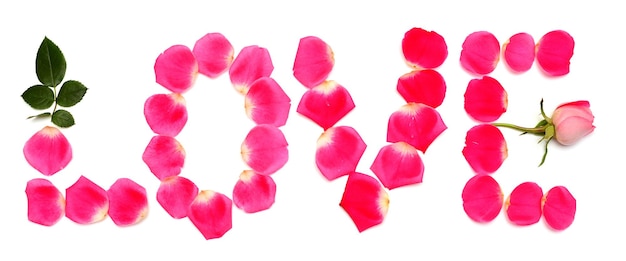 O amor de inscrição das pétalas de rosa é rosa isolado no fundo branco. Conceito criativo e elegante. Flores e flora. Camada plana, vista superior. Dia dos namorados