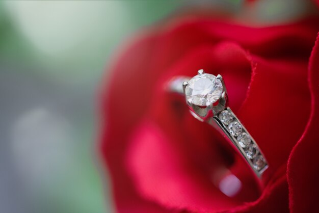 O anel de diamante na florescência bonita aumentou.
