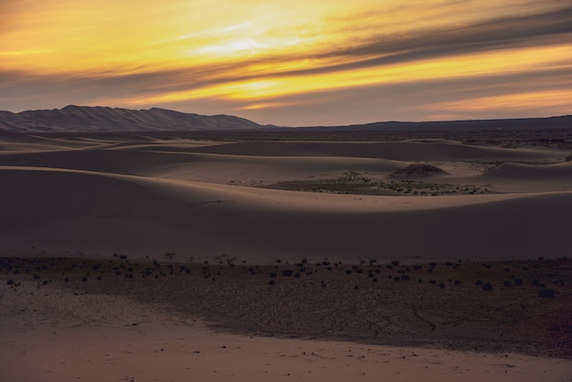 O aquecimento global cria uma paisagem árida na terra