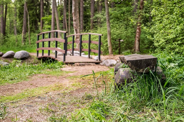 O banco de madeira simples está nas trilhas da floresta no parque Ao fundo, pequena ponte sobre o córrego