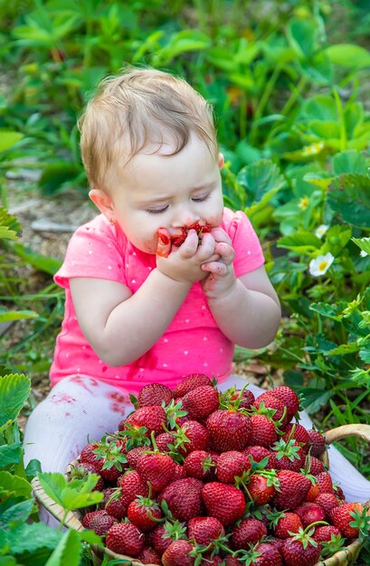 O bebê come morangos no jardim. Verão.