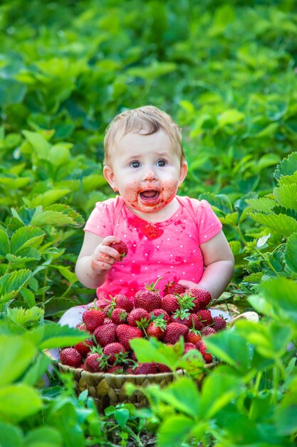 O bebê come morangos no jardim. Verão.