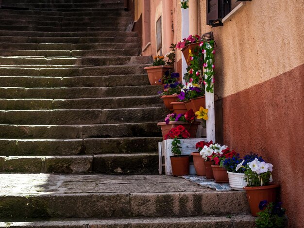 O belo beco da cidade velha de castelsardo