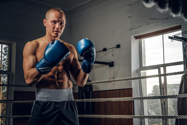 O boxeador focado brutal está de pé no ringue usando luvas de boxe enquanto posava para o fotógrafo.