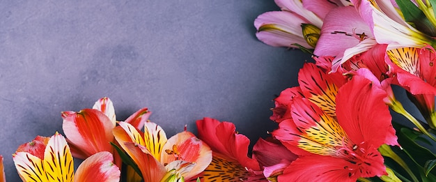 O buquê de orquídeas é lindo, fresco, vermelho brilhante e lilás sobre um fundo claro.
