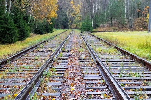 O caminho da ferrovia vai para a distância