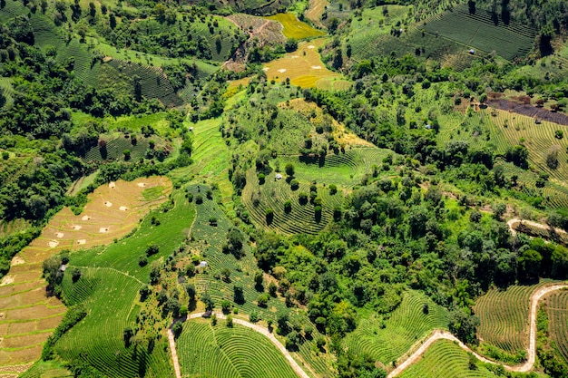 O caminho de montanha liga a cidade e área agrícola chiang rai Tailândia