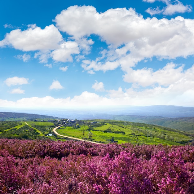 O caminho de saint james em leon montanhas rosa