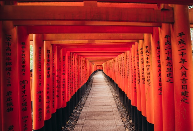 O caminho do fushimi-inari em Kyoto