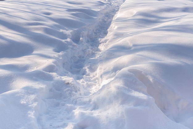 O caminho na neve branca. O jogo de luz e sombra.