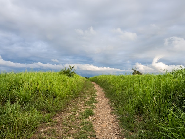 O caminho nas montanhas com vales verdes e céu nublado