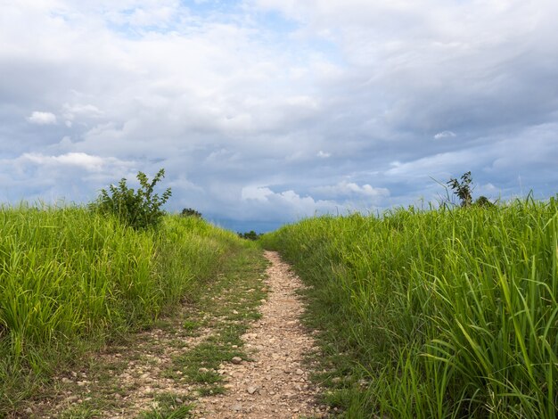 O caminho nas montanhas com vales verdes e céu nublado