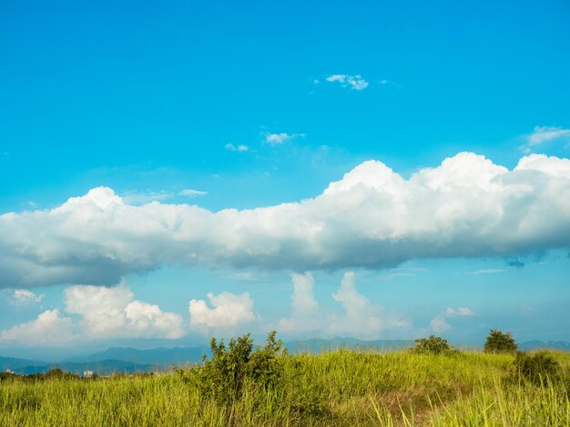 Foto o caminho nas montanhas com vales verdes e céu nublado