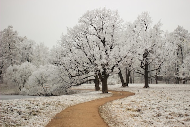 O caminho no Alexander Park na neve