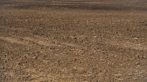 Foto o campo semeado da terra no horizonte.