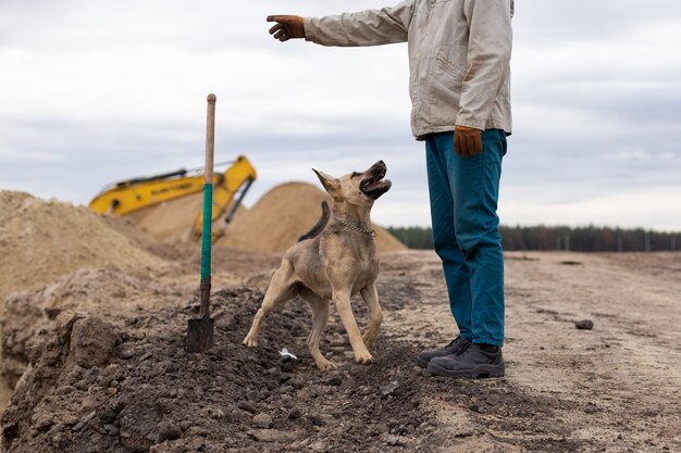 O cão executa comandos na produção