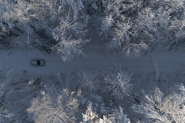 Foto o carro está dirigindo ao longo de uma pitoresca estrada de inverno na floresta