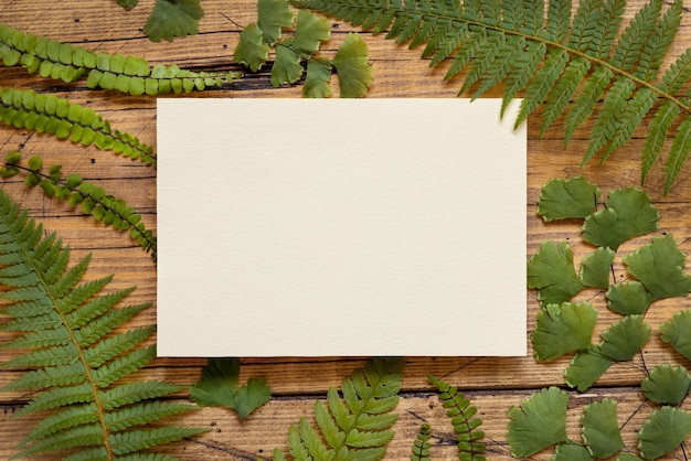 Foto o cartão de papel em branco sobre uma mesa de madeira decorada com samambaia deixa vista superior. cena tropical de maquete com cartão de convite plano