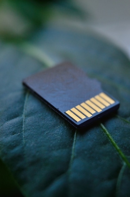 O cartão micro SD encontra-se em uma folha verde de uma planta. macro.