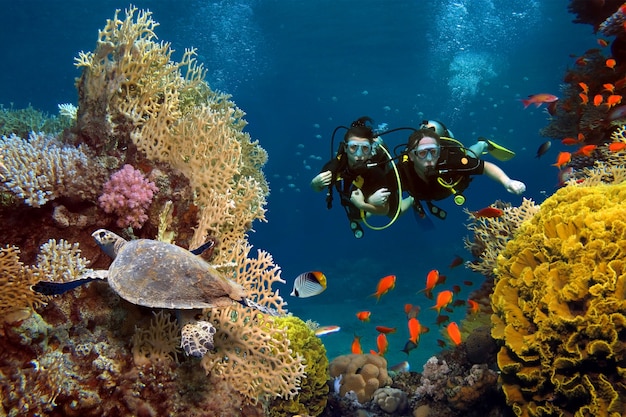 O casal apaixonado mergulha entre corais e peixes no oceano