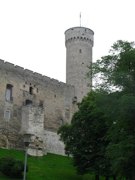 O castelo na cidade de Tallinn Estônia