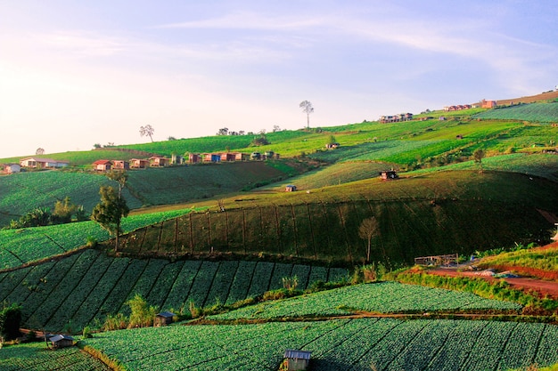 Foto o cenário das montanhas é lindo.