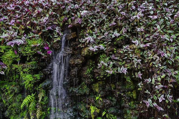 Foto o cenário natural com cachoeiras e folhas ajuda a tornar a atmosfera fresca e relaxante no jardim