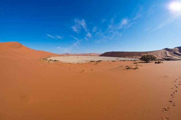 O cénico sossusvlei e deadvlei, majestosas dunas de areia.