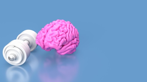 O cérebro rosa e o haltere branco para renderização 3d do conceito de treinamento cerebral