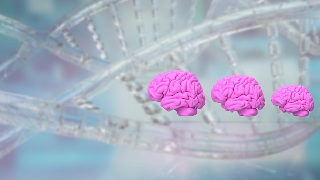 O cérebro rosa na renderização 3d de fundo de DNA