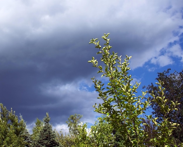 O céu após a chuva Céu azul e nuvem de chuva cinzenta