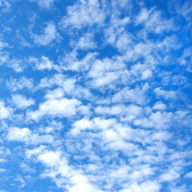 O céu azul e nuvens fofas brancas