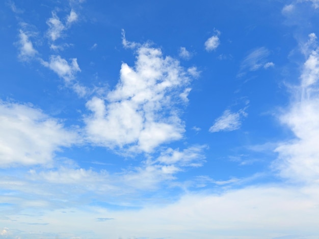 O céu azul e nuvens fofas brancas