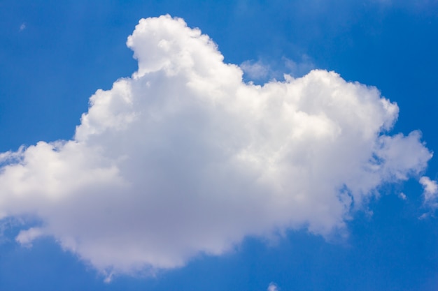 O céu azul tem nuvens brancas.