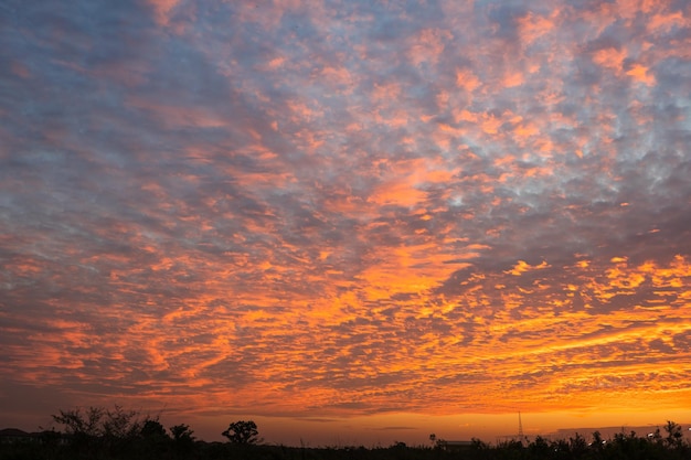 Foto o céu da manhã ao nascer do sol belas cores e alta qualidade