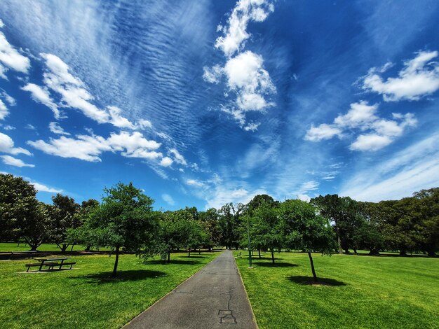 Foto o céu está a dançar