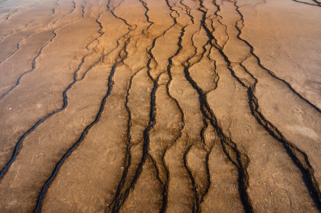 O chão do parque nacional de yellowstone