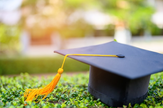 O chapéu preto de graduados universitários é colocado em folhas verdes.