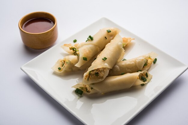 O charuto de pimenta Paneer é um pão crocante recheado com paneer que é uma entrada interessante para qualquer festa. servido com ketchup de tomate. foco seletivo