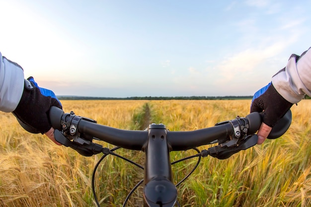 O ciclista segura o guidão de uma bicicleta com as mãos em um campo de trigo