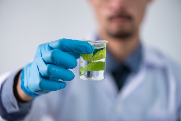 O cientista testa o extrato de produto natural, óleo e solução de biocombustível, no laboratório de química.