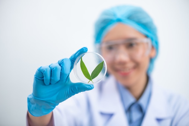 O cientista testa o extrato de produto natural, óleo e solução de biocombustível, no laboratório de química.