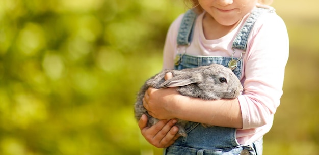 o coelho pressionou as orelhas nas mãos de uma garotinha